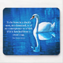 Search for quotes swan Animal