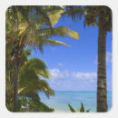 Search for island stickers South
