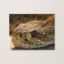 Search for rattle snake Wild