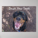 Search for brush teeth posters Dental