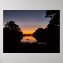 Search for marshes posters Trees