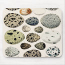 Search for bird egg mousepads Eggs