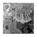 Search for black and white photo tiles Flower