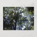 Search for elve postcards Nature