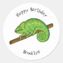 Search for cute chameleon stickers Green