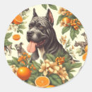 Search for cane corso stickers Puppy