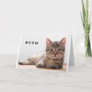 Search for for boss funny birthday cards Cat