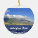 Search for maui christmas tree decorations Islands
