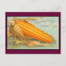 Search for corn vegetable cards Harvest