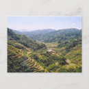 Search for rice terraces postcards Asia