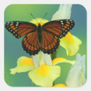 Search for mimic stickers Flower