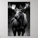 Search for moose art Portrait