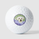 Search for labrador retriever golf balls Yellow