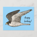 Search for coloured pencil cards Bird