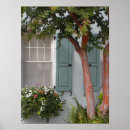 Search for shutter posters Green