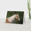 Search for horse breeding cards Palomino