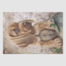 Search for bloodhound gift wrap Animal