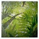 Search for forest scene tiles Green