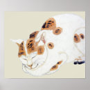 Search for calico cat posters Orange