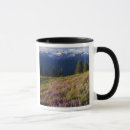 Search for lupin mugs Summer