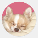 Search for snooze stickers Nap