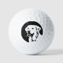 Search for labrador retriever golf balls Golfer