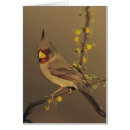 Search for cardinalis Nature