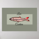 Search for lure posters River