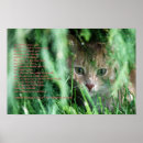 Search for cat poems posters Kitten