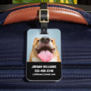 Search for tongue accessories Puppy