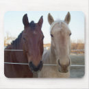 Search for buddy mousepads Animal