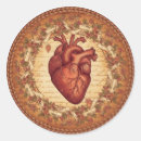 Search for anatomical heart stickers Illustration