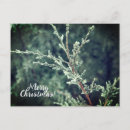 Search for photography christmas cards Typography