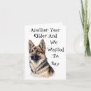 Search for funny german shepherd cards Humour