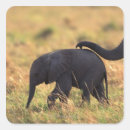 Search for elephant trunk stickers Nature