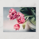Search for flower bulbs postcards Floral