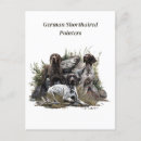 Search for german shorthaired postcards Deutsch kurzhaar
