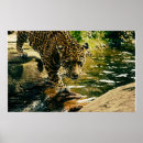 Search for wildlife posters Tree