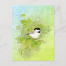 Search for wildlife art postcards Watercolor