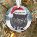 Search for piggy christmas tree decorations Snow