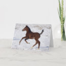 Search for arabs cards Horse