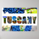 Search for tuscany posters Vineyard