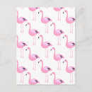 Search for bird of paradise postcards Pink