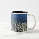 Search for dead fish mugs Sealife