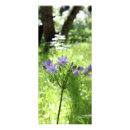 Search for beautiful rack cards Flowers