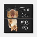 Search for fun magnets Cat
