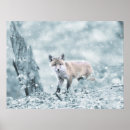 Search for cute fox posters Winter