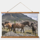 Search for icelandic horse Mountain