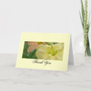 Search for daylilies cards Daylily
