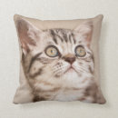 Search for selected baby kids Cat